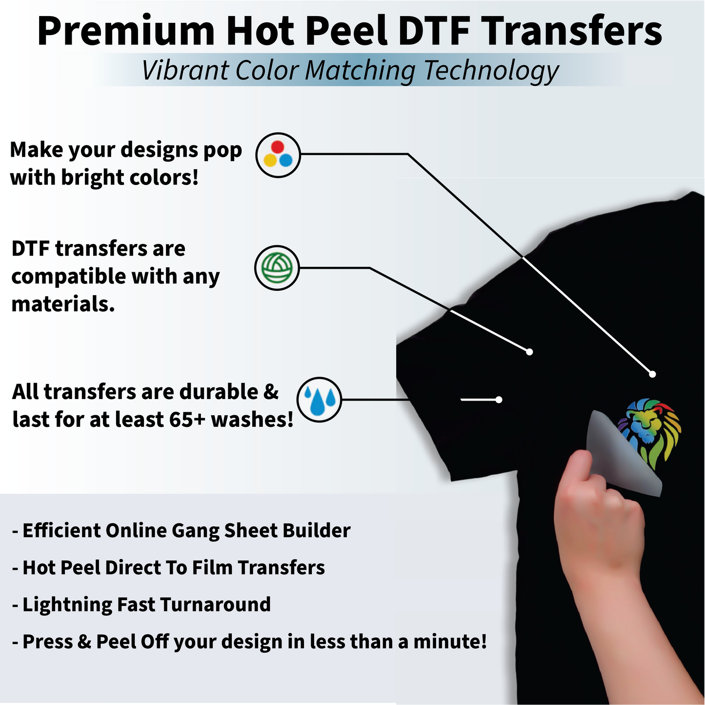 Premium Hot Peel DTF Transfers by Size